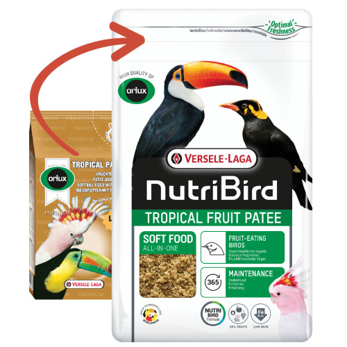 Tropical Fruit Patee - Nutribird 25 kg