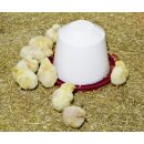 Kunststofftränke für Küken und Hühner - Kerbl 3,5 Liter