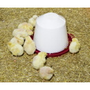 Kunststofftränke für Küken und Hühner - Kerbl 5 Liter