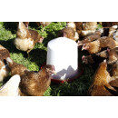 Kunststofftränke für Küken und Hühner - Kerbl 5 Liter