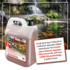 Special Blend Pond für klares Teichwasser - Microbe-Lift 946 ml